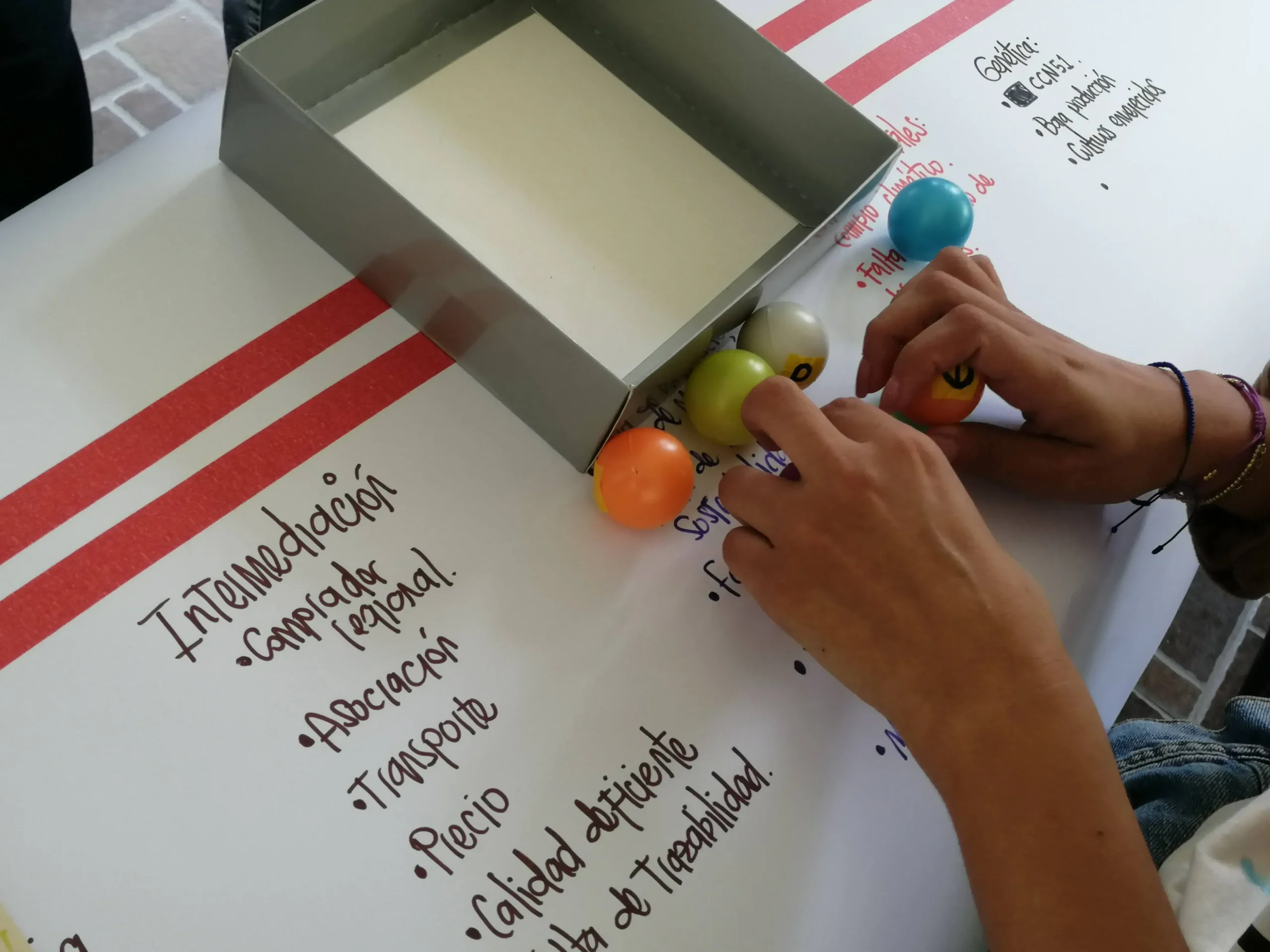 Dinámica de innovación empresarial con WakeUpBrain: diseño de juegos estratégicos usando pelotas y tarjetas para fomentar la creatividad, la colaboración y la resolución de retos.